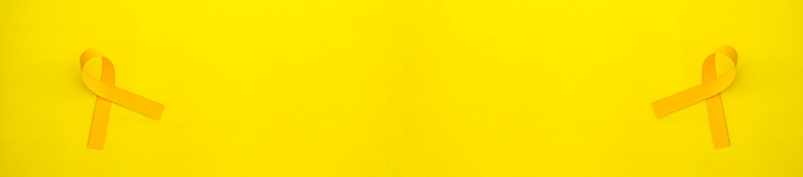 Endometriosis:   Understanding the Journey Together