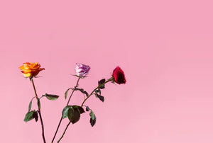 The Art of Self-Love with Bendon Lingerie This Valentine's Day