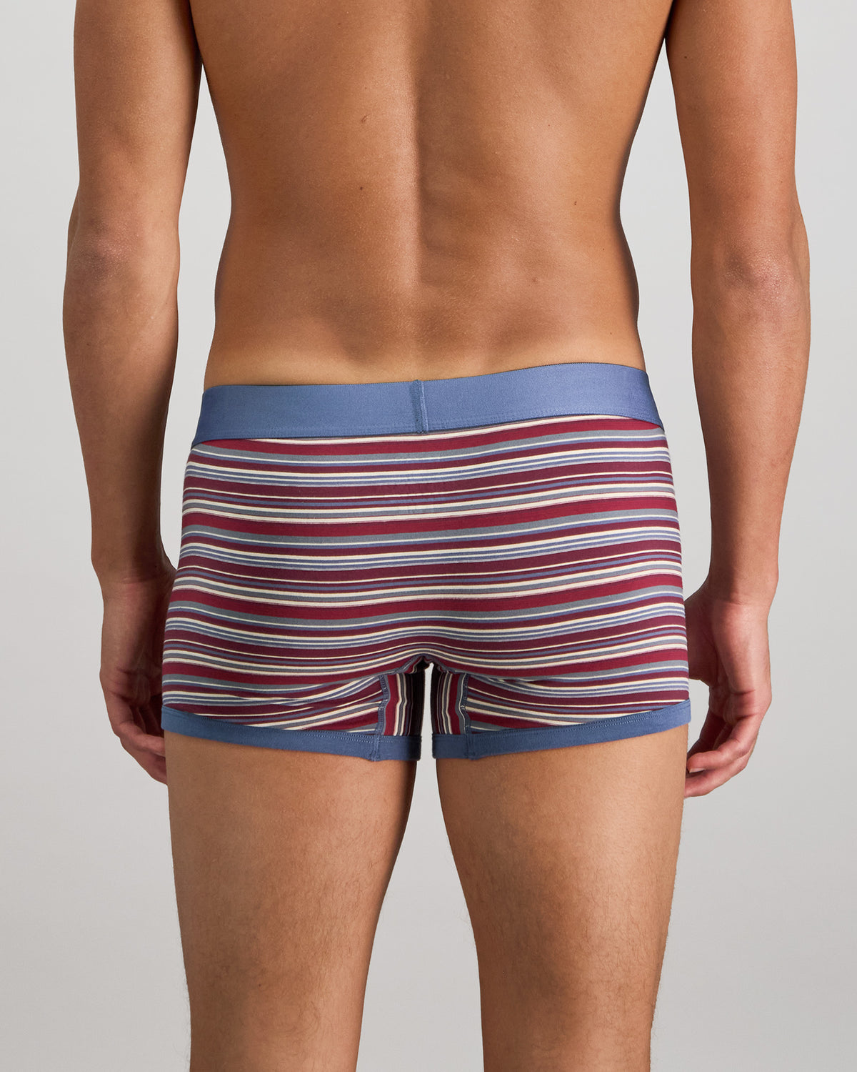 Model wears Bold Stripe Mens Trunk in INDIGO/FIG STRIPE. On body back view
