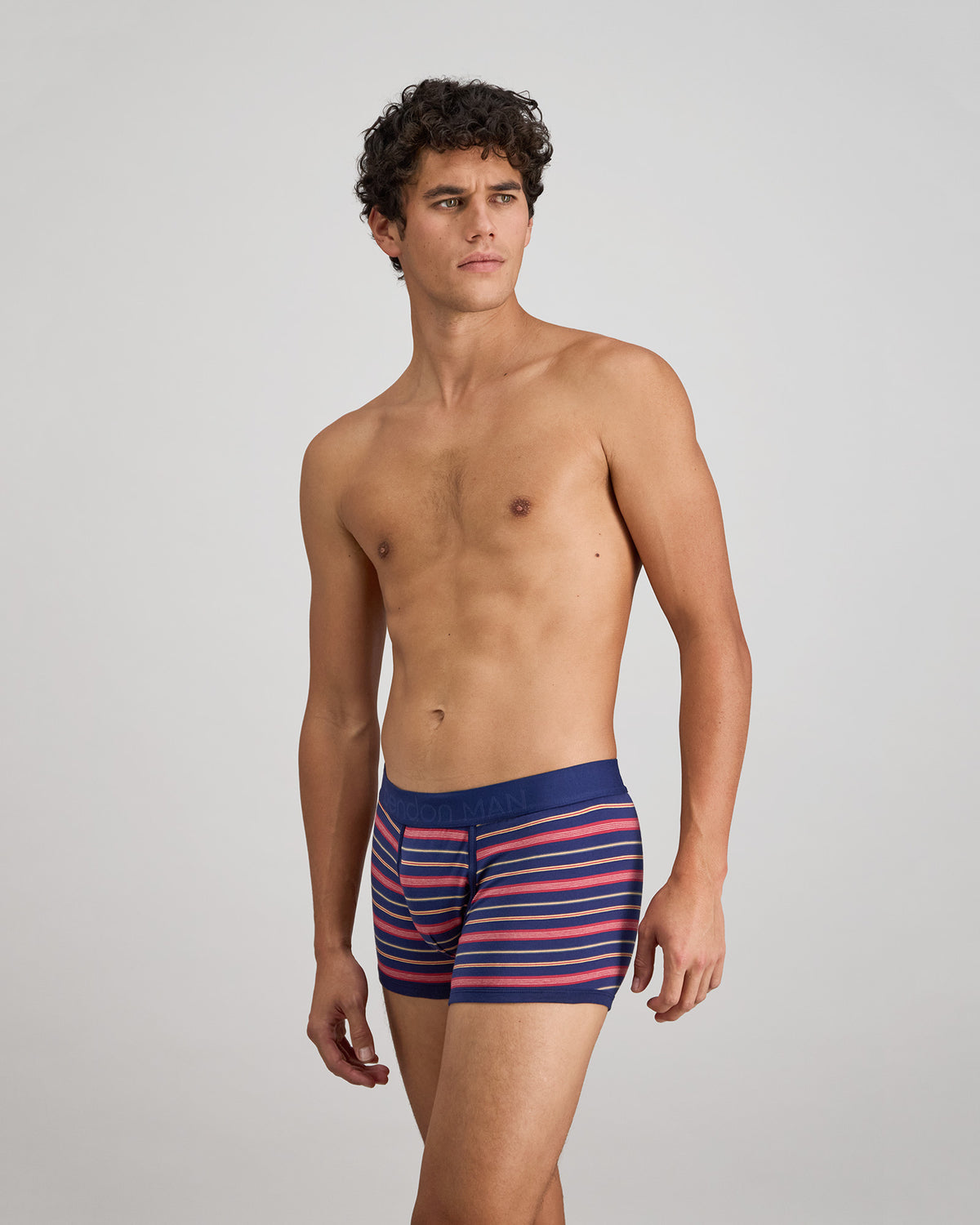 Bold Stripe Mens Trunk in MEDIEVAL/GARNET STRIPE. Flat lay back view