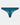 Celeste Thong in EVERGLADE. Flat lay front view