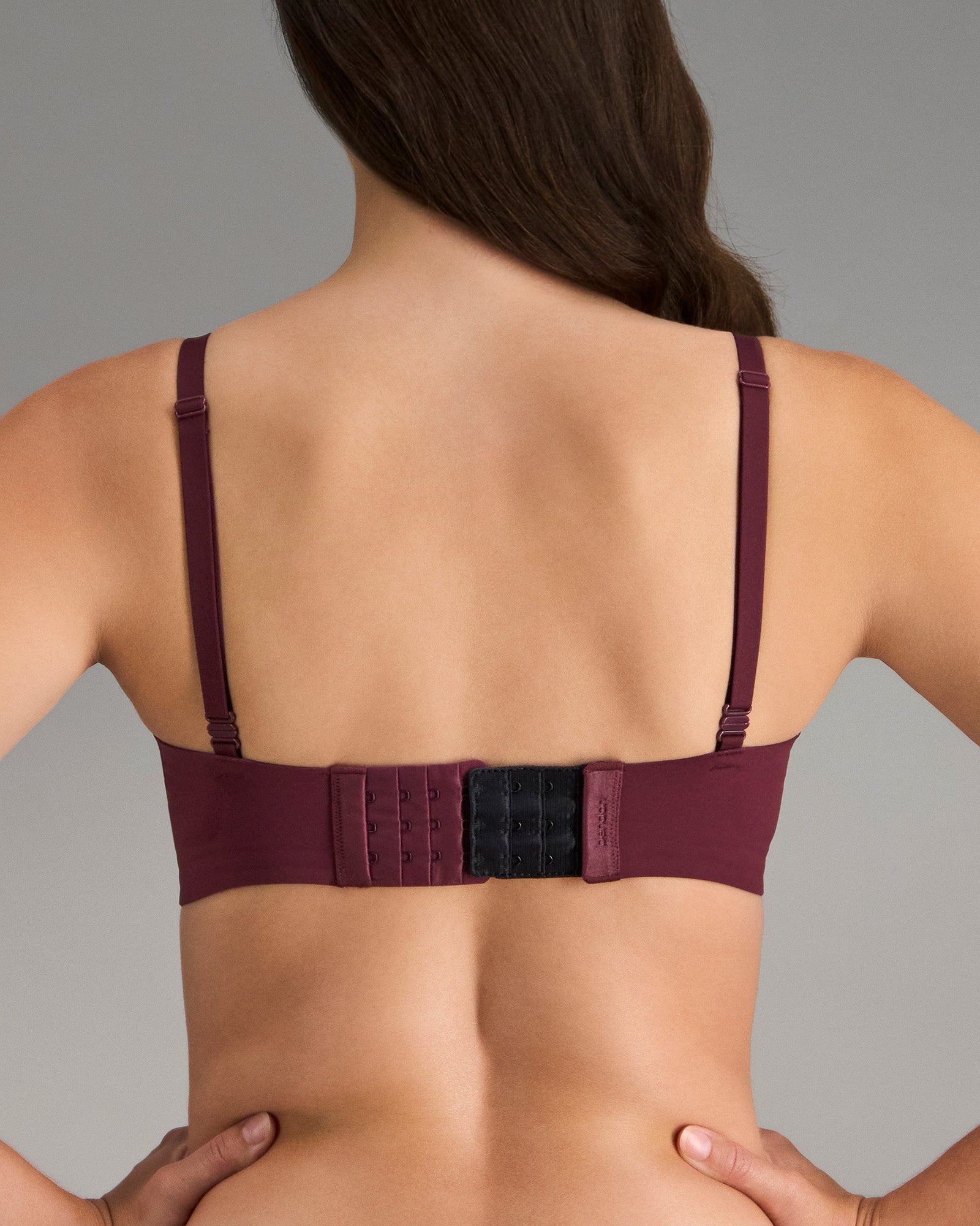 Bra Extenders 3 Hook Bra + Lingerie Solutions in ASSORTED. Feature shot
