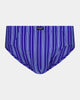 Cotton Stretch Mens Brief in SURF THE WEB STRIPE. Flat lay front view