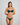 Stripe Elastic & Papertouch Push Up Bra in RAIN FOREST. Feature shot