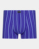 Cotton Stretch Mens Trunk in SURF THE WEB STRIPE. Flat lay front view