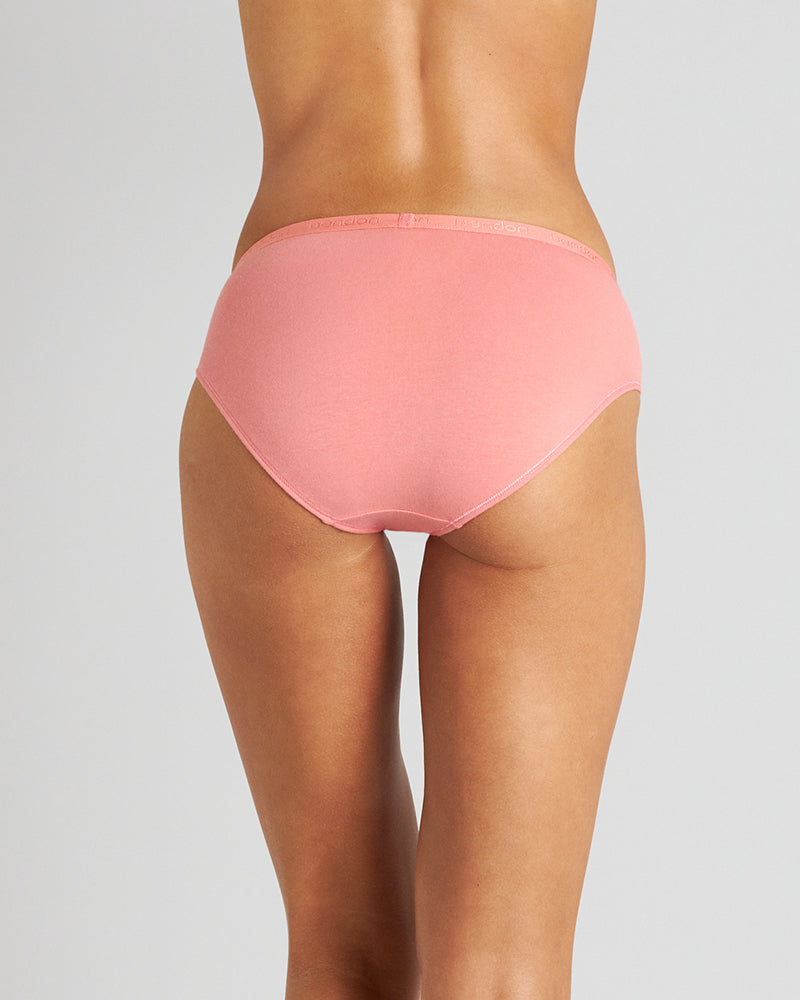 Body Cotton High Cut Brief Twin Pack in COLONY BLUE/LANTANA. Flat lay back view