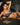 Model wears Wild Flower Underwire Bra in Surf The Web. On body front view