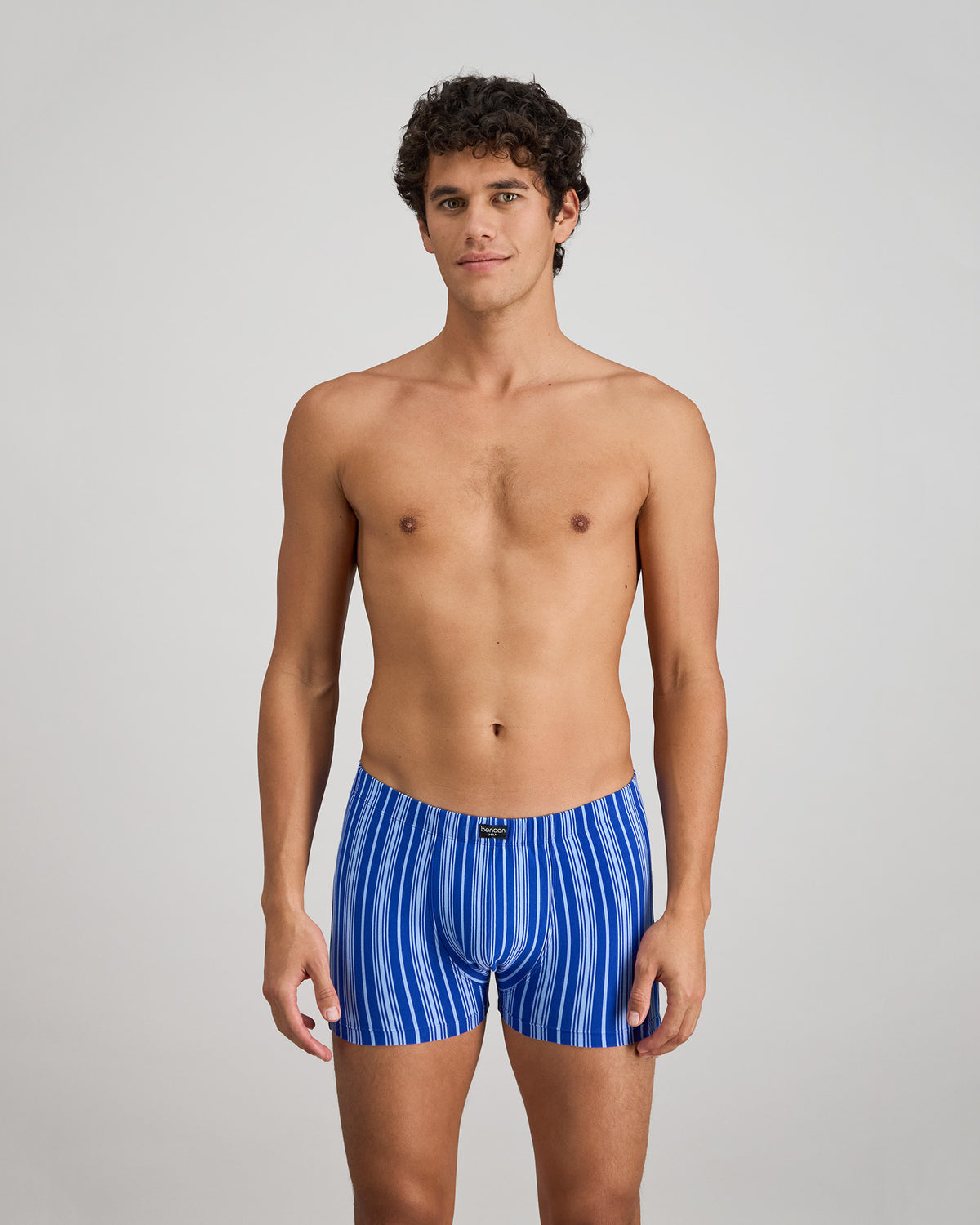 Cotton Stretch Mens Trunk in SURF THE WEB STRIPE. Feature shot